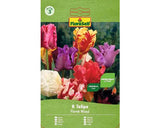 Bulbi De Lalele Floraself Papagal Mix 11/12 8 Buc
