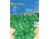 Seminte De Salata Verde De Camp Gala Kiepenkerl, 150 gr