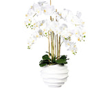 Planta Artificiala Orhidee Fluture Phalaenopsis In Vas 7 Ramuri H 95 Cm Alb