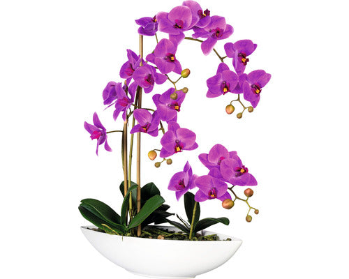Planta Artificiala Orhidee Fluture Phalaenopsis In Vas 4 Ramuri H 60 Cm Lila