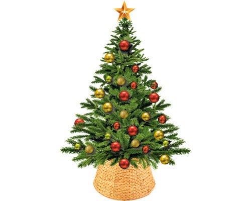 Covoras Pentru Brad De Craciun Lafiora Din Zambila De Apa Ø 38 Cm H 25 Cm Natur