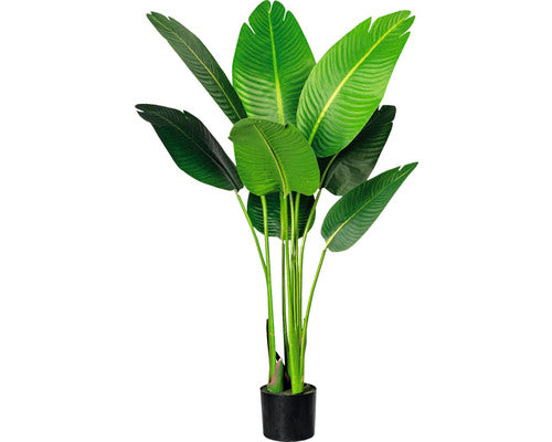 Planta Artificiala Sterlitzia Nicolai In Ghiveci H 120 Cm Verde