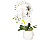 Planta Artificiala Orhidee Fluture Phalaenopsis In Vas Alb H 60 Cm Alb