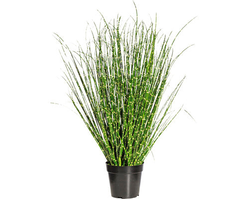 Planta Artificiala Iarba Miscanthus Zebrinus In Ghiveci H 80 Cm Verde