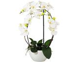 Planta Artificiala Orhidee Fluture Phalaenopsis In Vas Ceramic H 52 Cm Alb