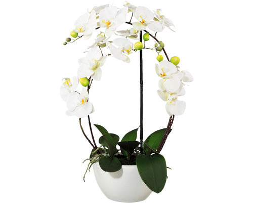 Planta Artificiala Orhidee Fluture Phalaenopsis In Vas Ceramic H 52 Cm Alb