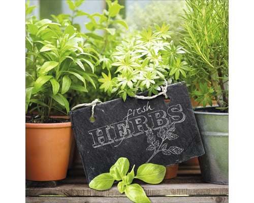 Tablou Sticla Fresh Herbs 20x20 Cm