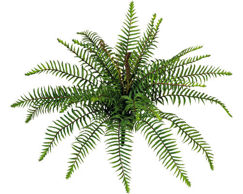 Planta Artificiala Feriga Platycerium Salbatica H 45 Cm Verde