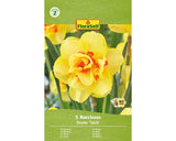 Bulbi Narcise Floraself Tahiti 12/14 5 Buc