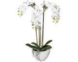 Planta Artificiala Mini Orhidee Fluture Phalaenopsis In Ghiveci H 51 Cm Alb