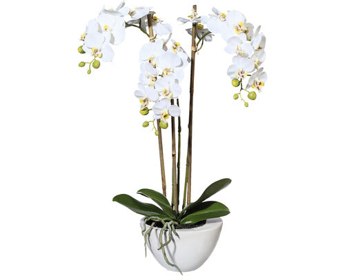 Planta Artificiala Mini Orhidee Fluture Phalaenopsis In Ghiveci H 51 Cm Alb