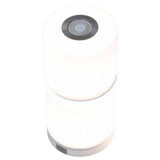 Lampa decorativa, Lutec, Plastic, Lumina LED, Alb/Gri