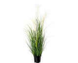 Planta Artificiala Iarba Pampas In Ghiveci H 76 Cm Crem