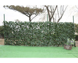 Protectie Vizuala Aspect Iedera 1x3m