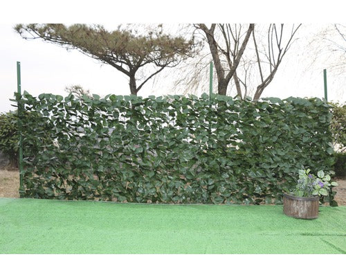 Protectie Vizuala Aspect Iedera 1x3m