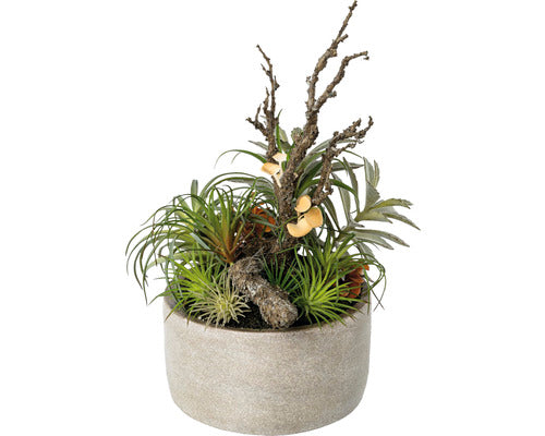 Planta Artificiala Tillandsia Mix H 35 Cm Verde