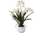 Planta Artificiala Orhidee Gambia In Vas Ceramic H 50 Cm Alb