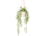 Planta Artificiala Ficus Neriifolia Suspendat H 50 Cm Verde