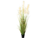 Planta Artificiala Iarba Pampas In Ghiveci H 130 Cm Colorata