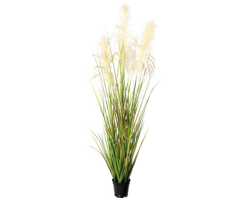 Planta Artificiala Iarba Pampas In Ghiveci H 130 Cm Colorata