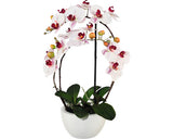 Planta Artificiala Orhidee Fluture Phalaenopsis In Vas Ceramic H 52 Cm Roz