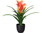 Planta Artificiala Bromelia Guzmania H 60 Cm Rosu