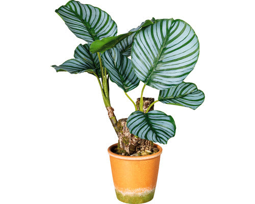 Planta Artificiala Calathea In Ghiveci H 45 Cm Verde