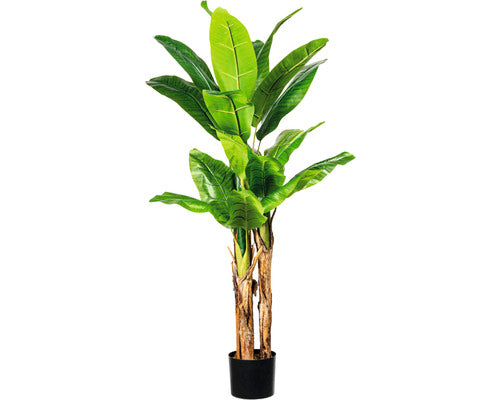 Copac Artificial Bananier 3 Tije In Ghiveci H 180 Cm Verde