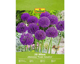 Bulbi De Flori Floraself Allium Sensation Violet 20 Buc