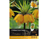 Bulbi De Flori Premium Fritilaria Striped Beauty 8 Buc