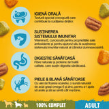 Hrană Câini Pedigree Adult 15Kg (12+3 Gratis), Vită & Legume, Nutriție Completă
